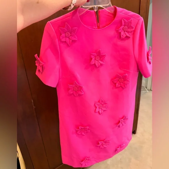 NWT Catchall Alison Pink Jacquard Floral Mini Dress - L - Picture 5 of 7